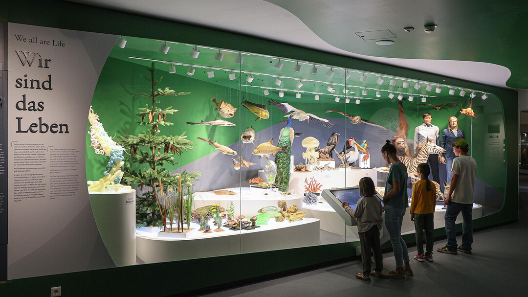 Haus Der Natur Und Umwelt Haus der Natur : Museums in Salzburg : salzburg.info